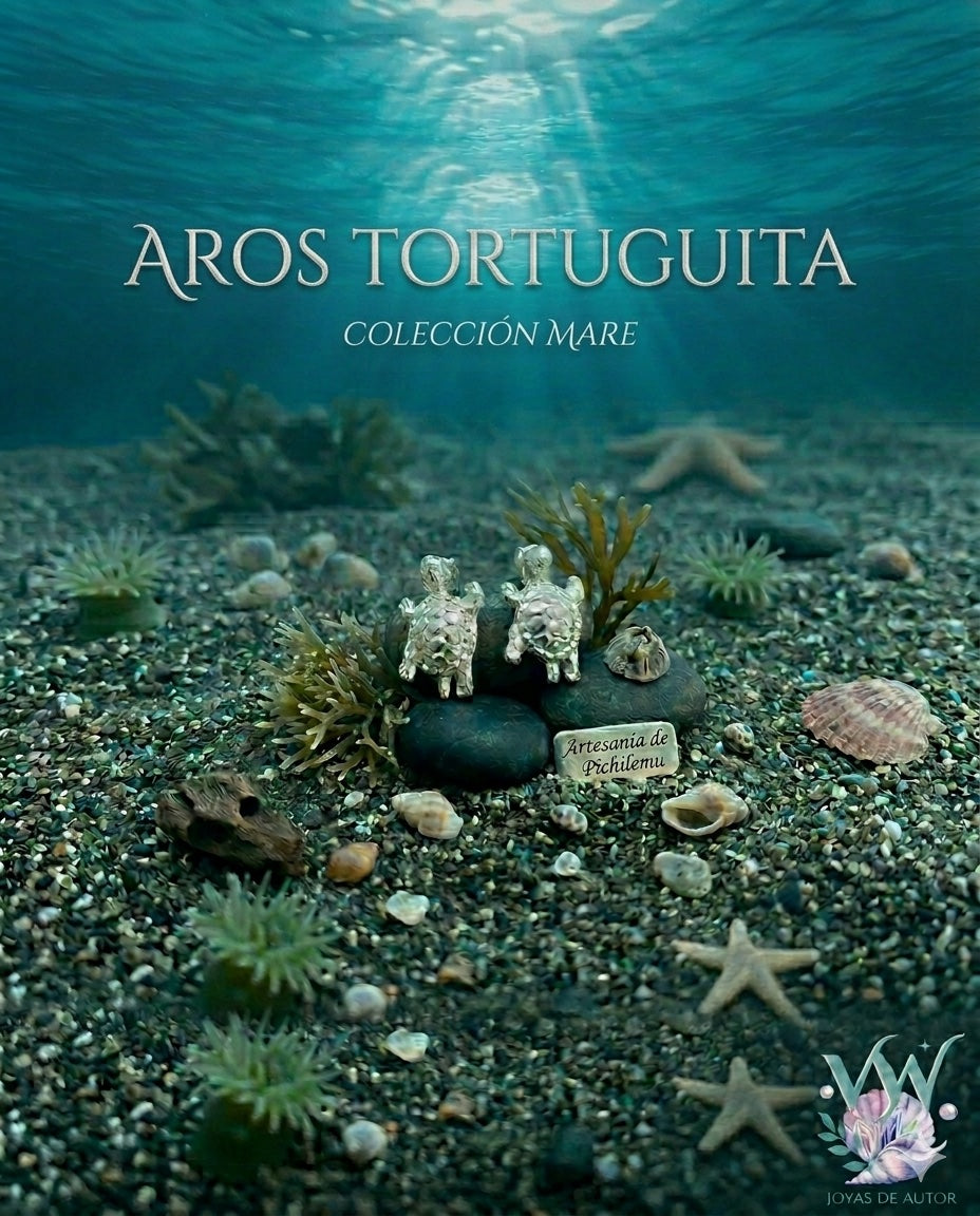 Aros Tortuguita en Plata 980