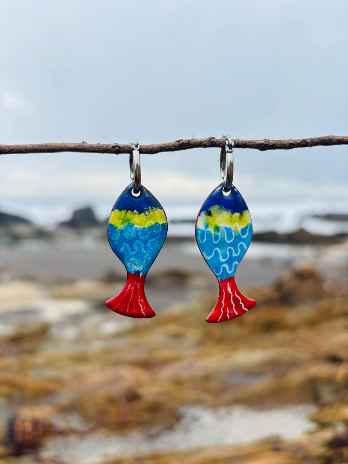Aros Pez Del Litoral